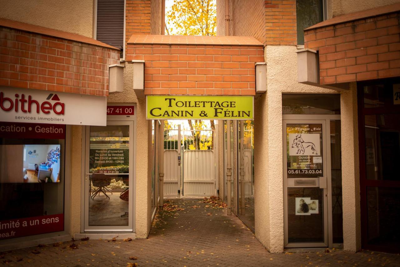 Charmant Studio☆Netflix☆Canal+☆Canal Sat☆Parking☆ Ramonville-Saint-Agne Bagian luar foto